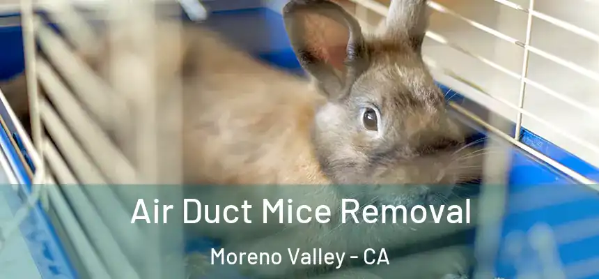 Air Duct Mice Removal Moreno Valley - CA