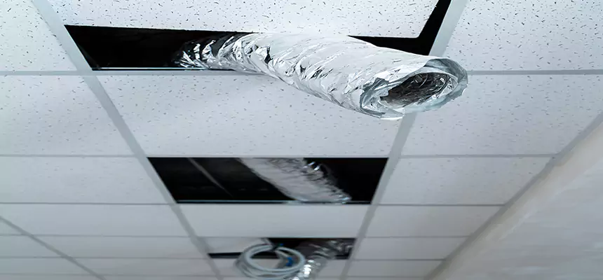 Affordable HVAC Sanitizing After Pest Removal in Moreno Valley