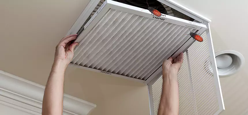 Our Insect Removal from Air Ducts Services in Moreno Valley, CA
