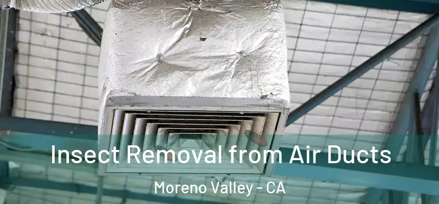 Insect Removal from Air Ducts Moreno Valley - CA