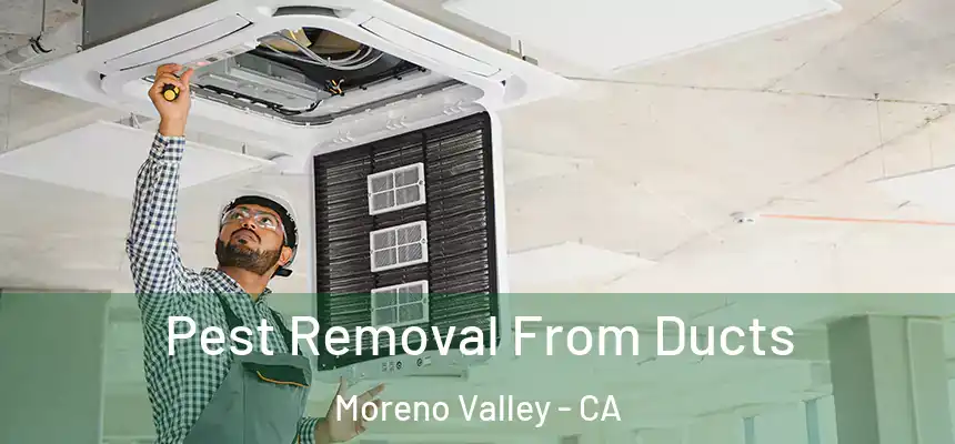 Pest Removal From Ducts Moreno Valley - CA