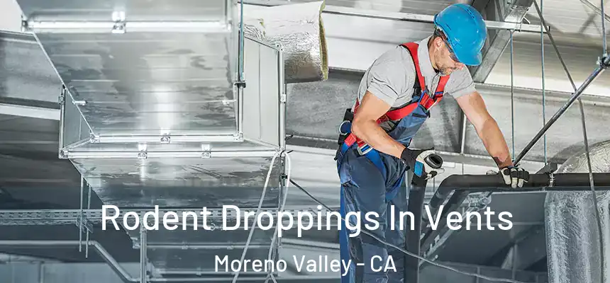 Rodent Droppings In Vents Moreno Valley - CA