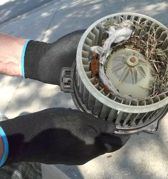 About Air Duct Mice Removal in Moreno Valley, CA