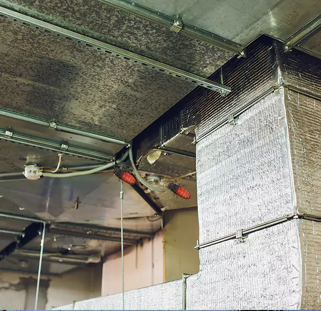 Why Homeowners & Businesses Trust Us in Moreno Valley, CA?