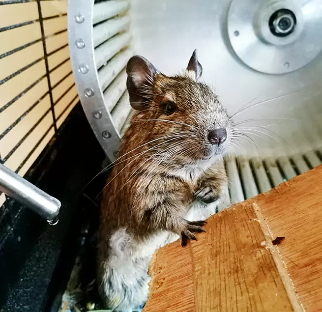 Why Homeowners & Businesses Trust Us Moreno Valley, CA