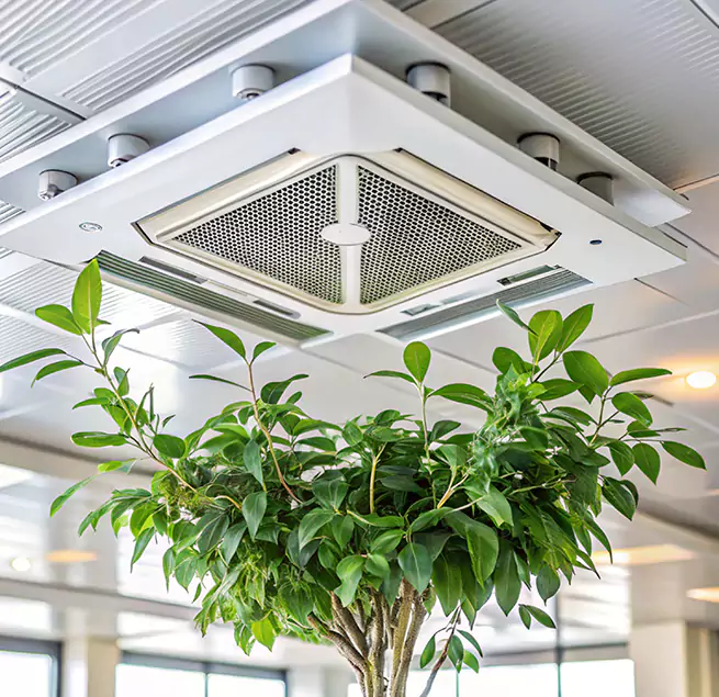 Why Homeowners & Businesses Trust Us in Moreno Valley, CA?