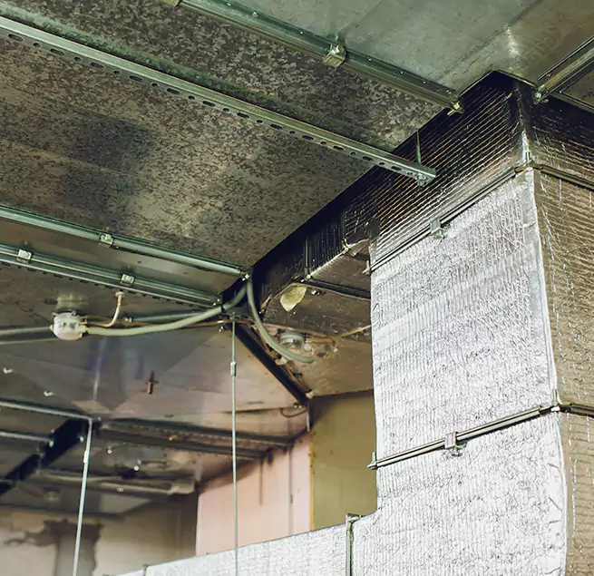 Why Homeowners & Businesses Trust Us in Moreno Valley, CA?